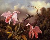 马丁 约翰逊 赫德 : Orchids and Hummingbird
